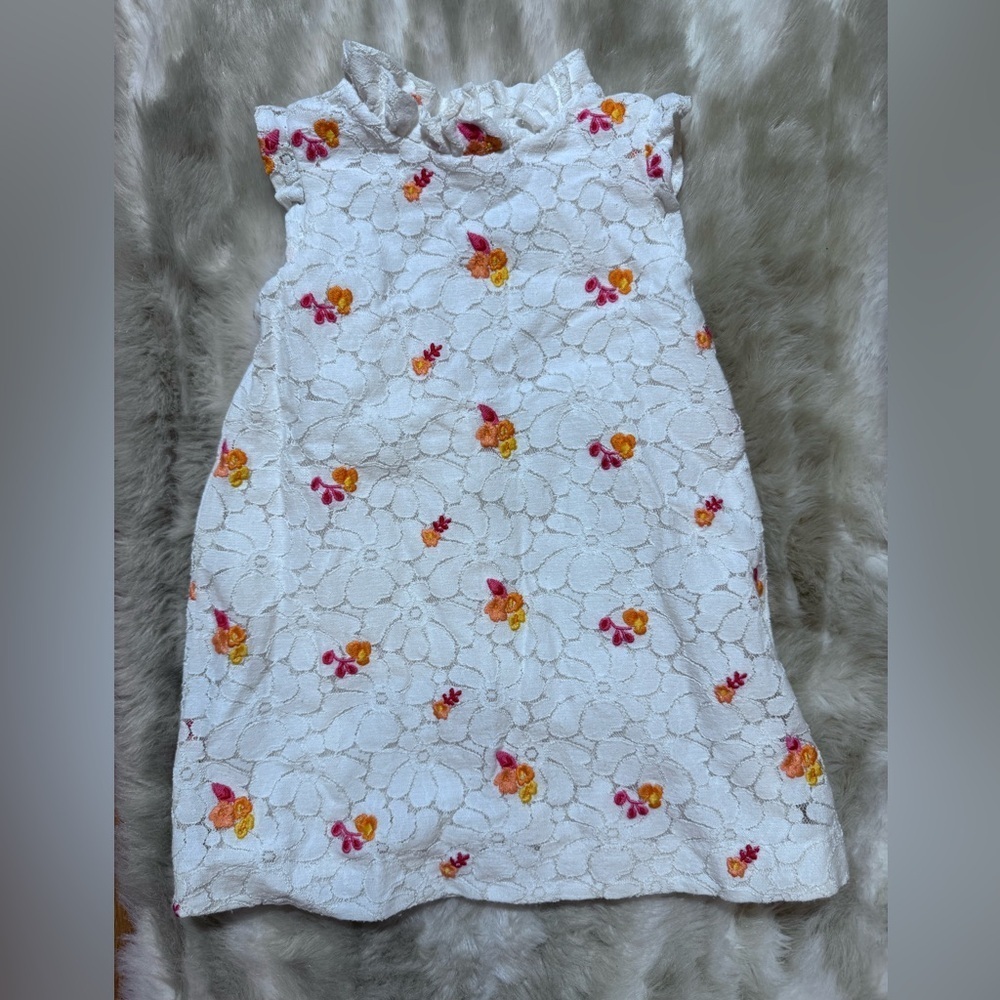 Janie and Jack Girl Embroidered Floral Lace Dress Pink Orange Flowers 12-18M